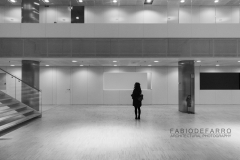 Convention Center - Rome The Cloud - Fuxas Studio - distribution spaces