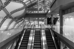 Convention Center - Rome The Cloud - Fuxas Studio - Vertical distribution